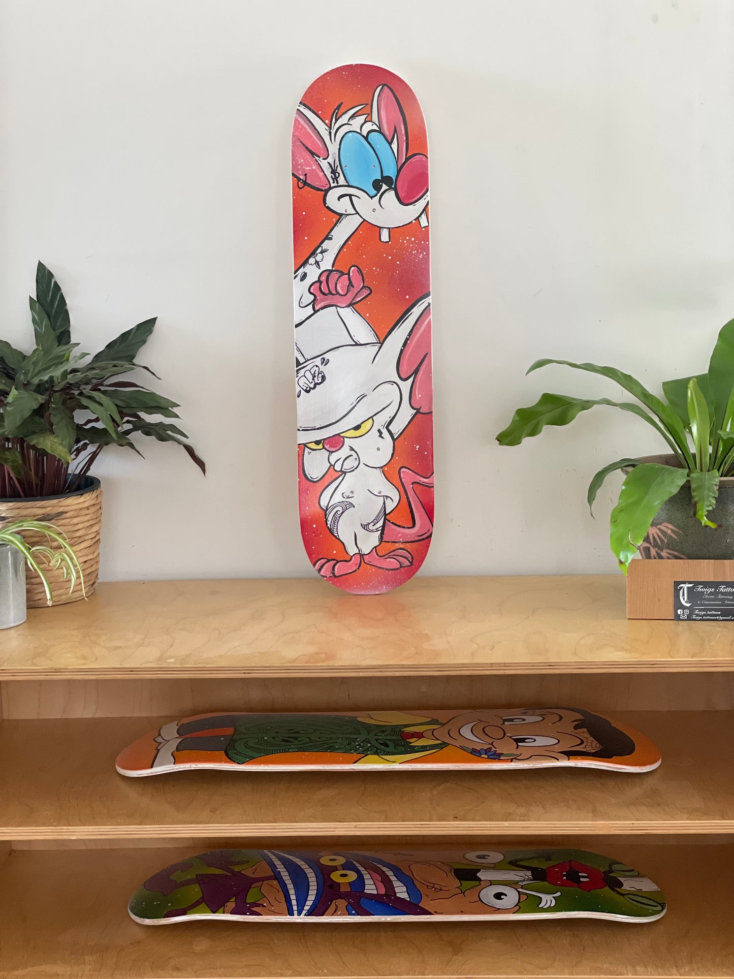 Pinky & The Brain Art Deck