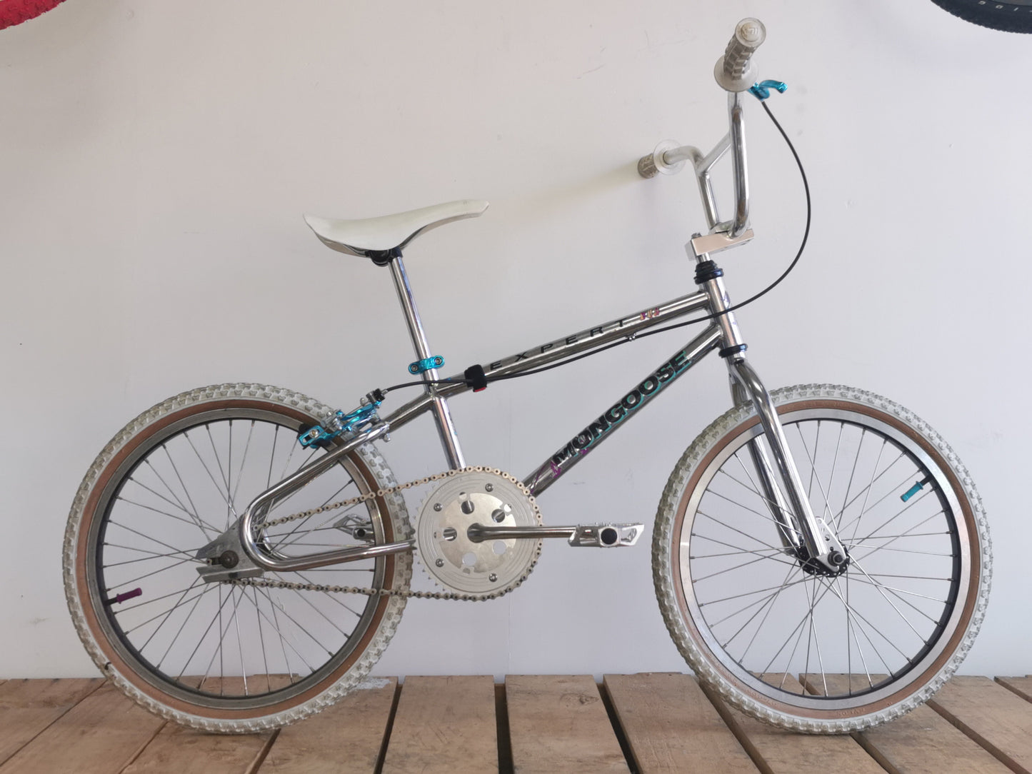 Mongoose Expert