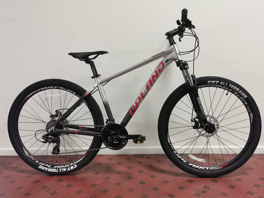 Upland X90 Mountain Bike