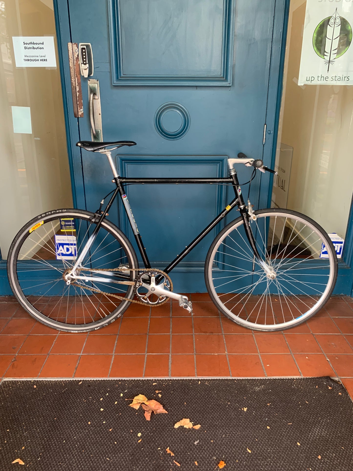 Vincolo single speed