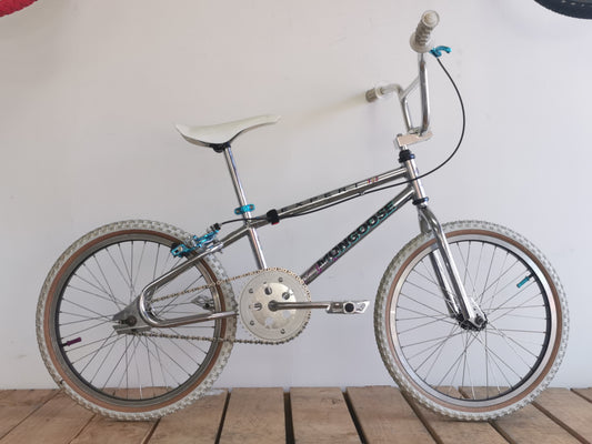 Mongoose Expert